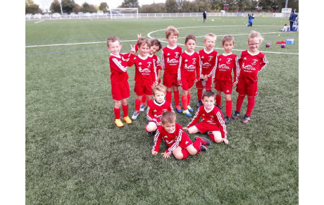 U6/U7 SM1