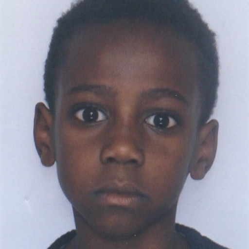 Raphaël